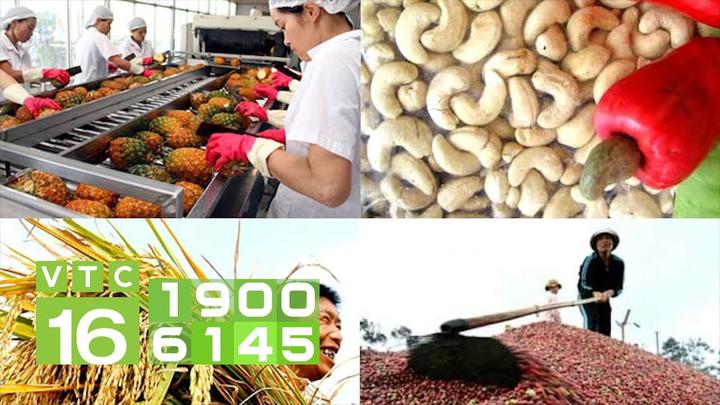 Xu hướng Diện mạo gây sốc của Bi Béo -: Hotspot Matrix tiết lộ bí quyết video viral