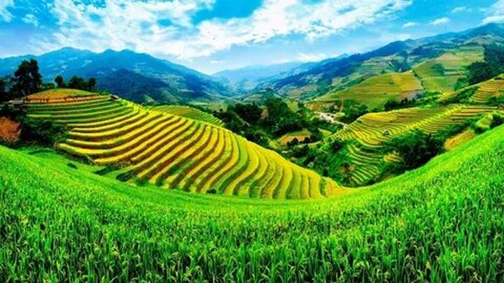 Bác sĩ trẻ và Hotspot Matrix: Kiếm thêm thu nhập, chia sẻ tri thức