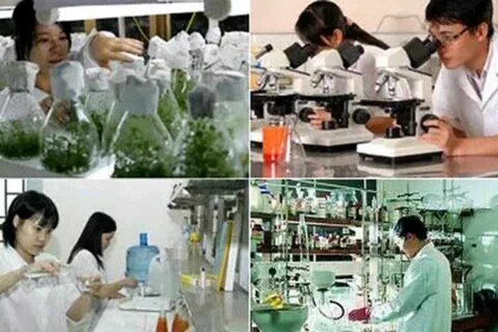 Cơ Hội Khởi Nghiệp Mới Cho Cựu Chiến Binh: Hotspot Matrix