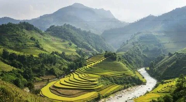 Tiêu đề: [Hotspot Matrix]: Sự Nghiệp Chướng - Pháo's Honest Take on Love and Life