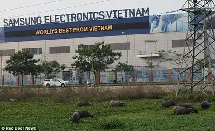 Xu hướng Ba Con Cừu - công ty đứng sau: Hotspot Matrix tiết lộ bí quyết video viral